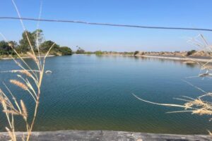 WhatsApp Image 2026-02-17 at 1.56.15 PM WhatsApp Image 2026-02-17 at 1.56.15 PM