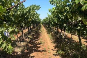 cold storage visit 4